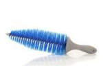 Raccoon Rim Brush